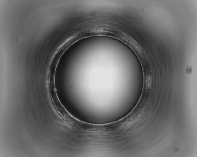X0000097980724200804071124