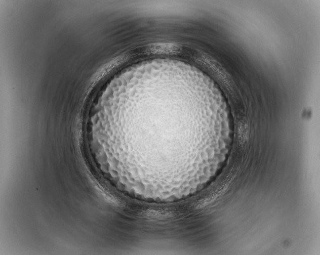 X0000097980725200804071124