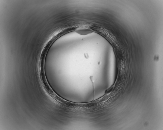 X0000097980726200804071124