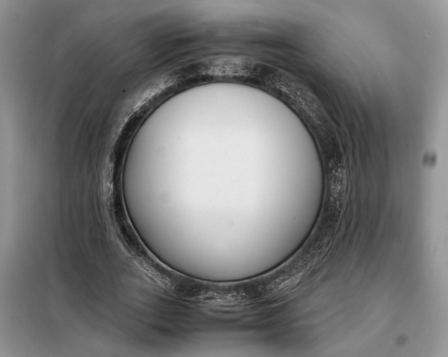 X0000097980727200804071124