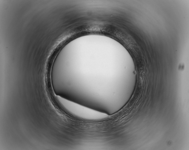 X0000097980728200804071124