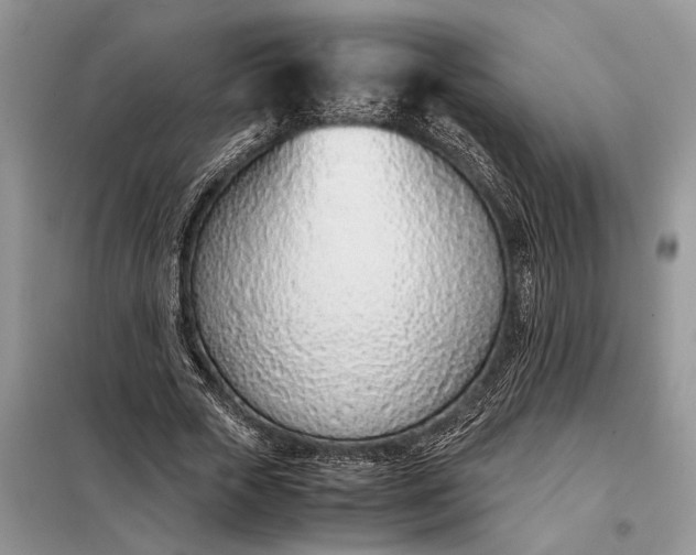 X0000097980729200804071124