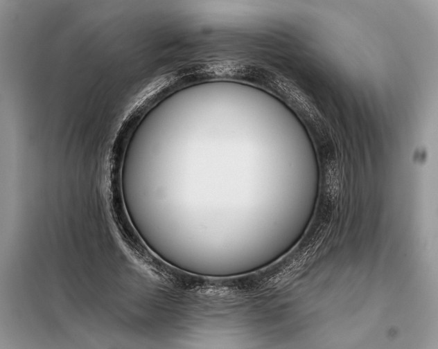 X0000097980730200804071124