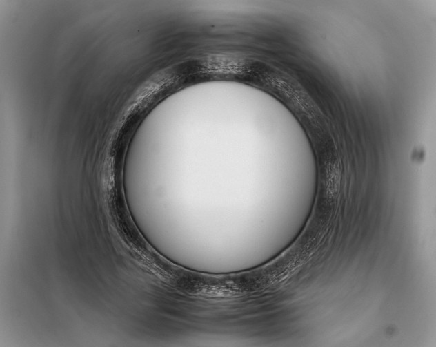 X0000097980731200804071124