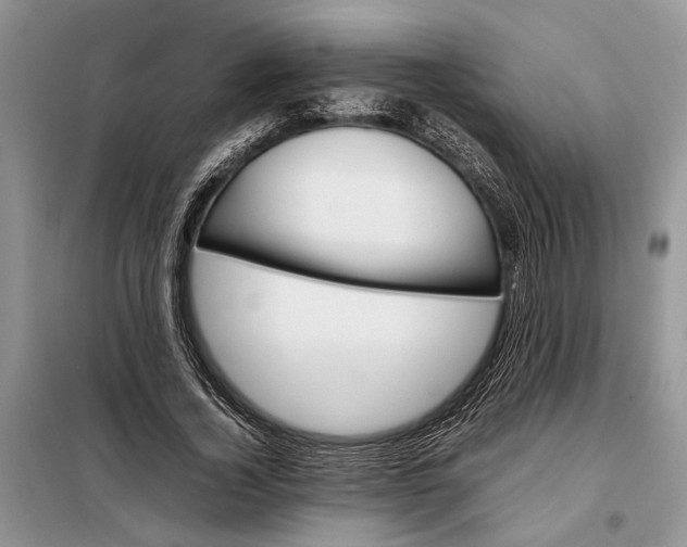 X0000097980732200804071124