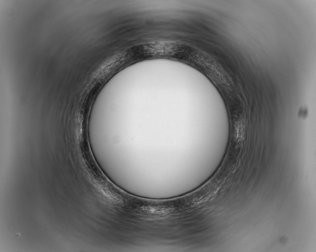 X0000097980733200804071124