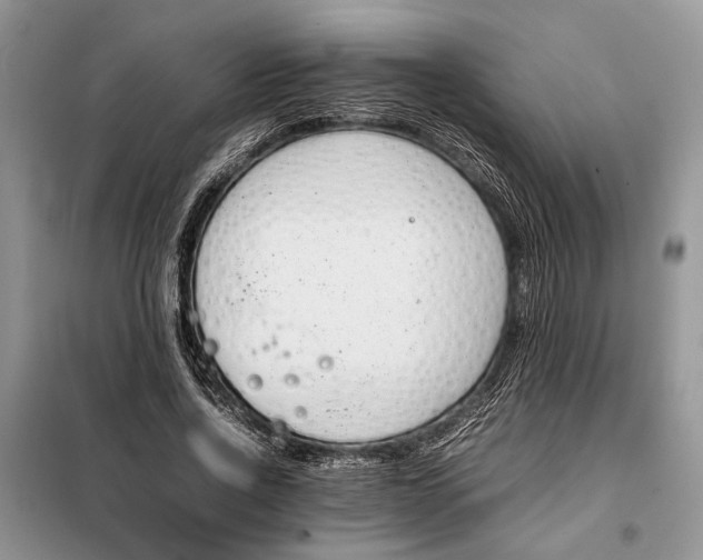 X0000097980734200804071124