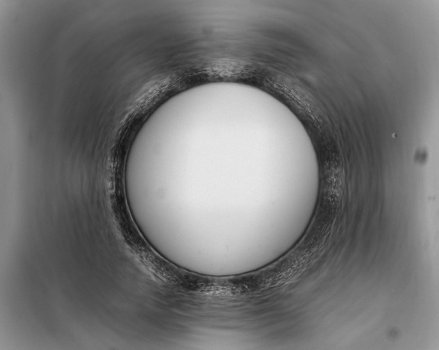 X0000097980738200804071124