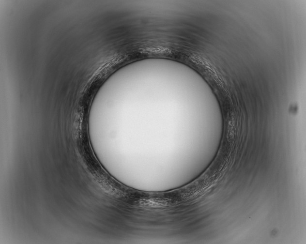 X0000097980739200804071124