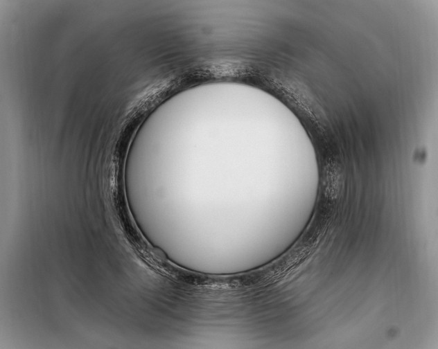 X0000097980740200804071124