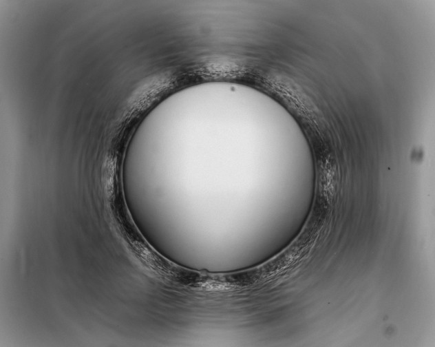 X0000097980742200804071124