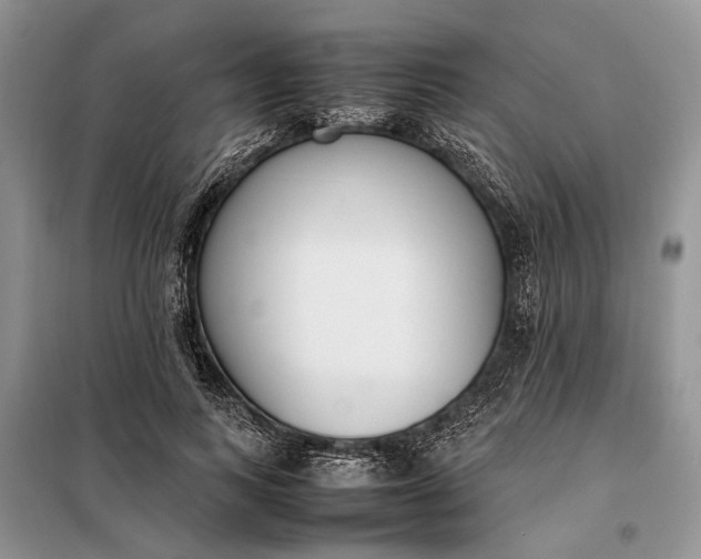 X0000097980743200804071124