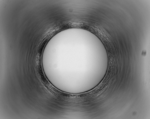 X0000097980744200804071124