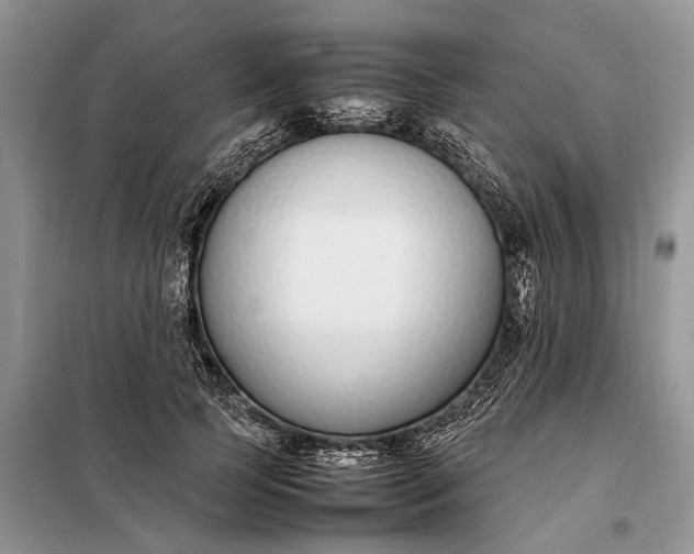 X0000097980745200804071124