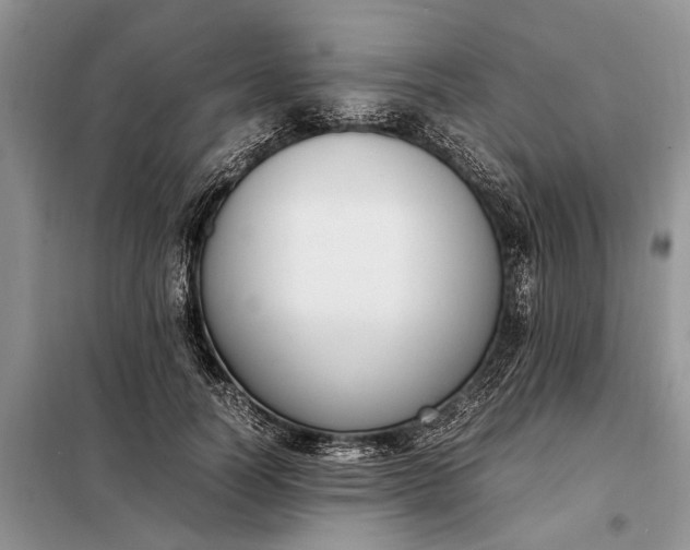 X0000097980746200804071124