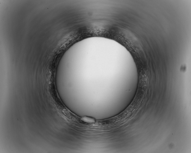 X0000097980750200804071124