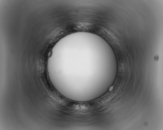 X0000097980751200804071124