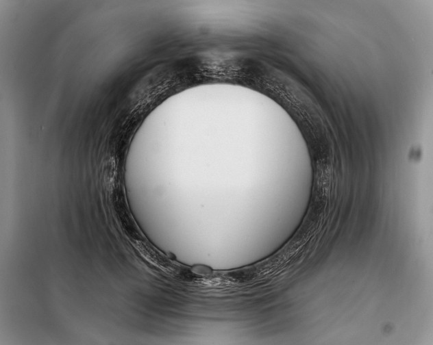 X0000097980752200804071124