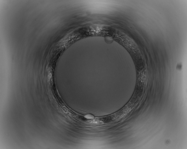 X0000097980754200804071124