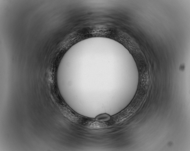 X0000097980755200804071124