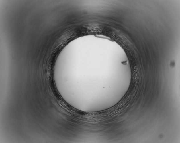 X0000097980756200804071124