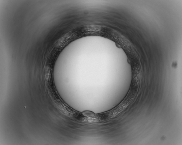 X0000097980758200804071124
