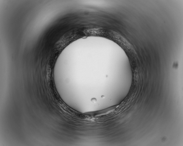 X0000097980760200804071124