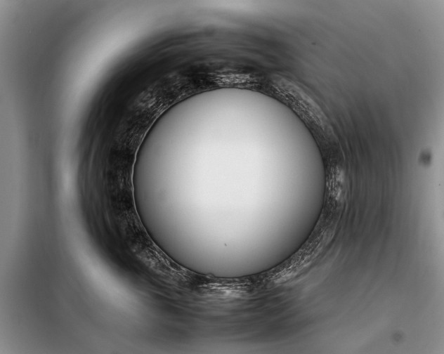 X0000097980763200804071124