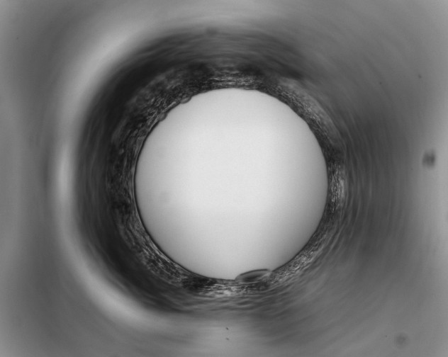 X0000097980764200804071124