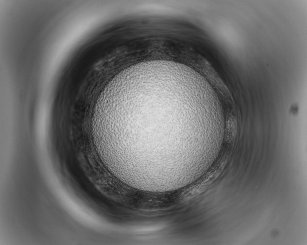 X0000097980765200804071124