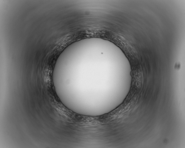 X0000097980770200804071124