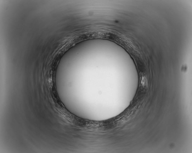 X0000097980771200804071124