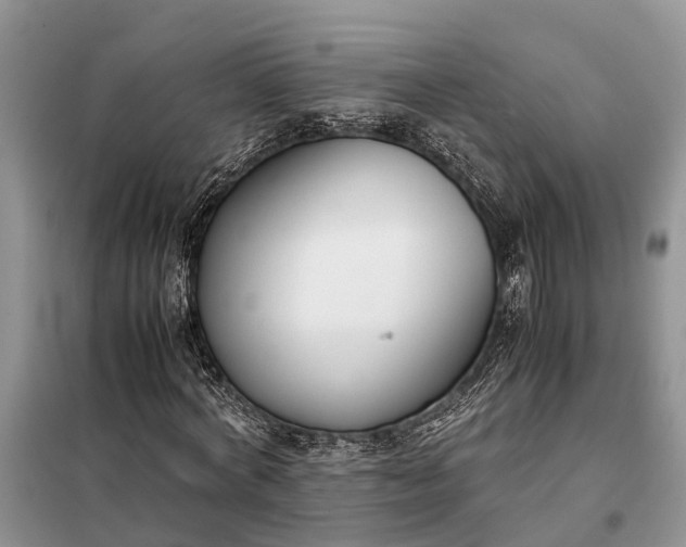 X0000097980772200804071124