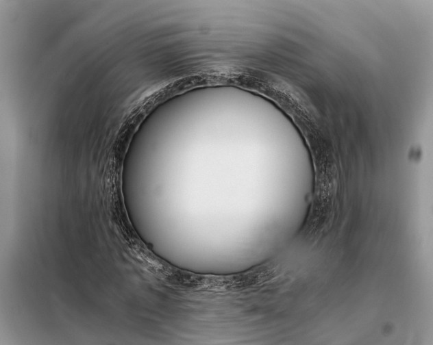 X0000097980773200804071124