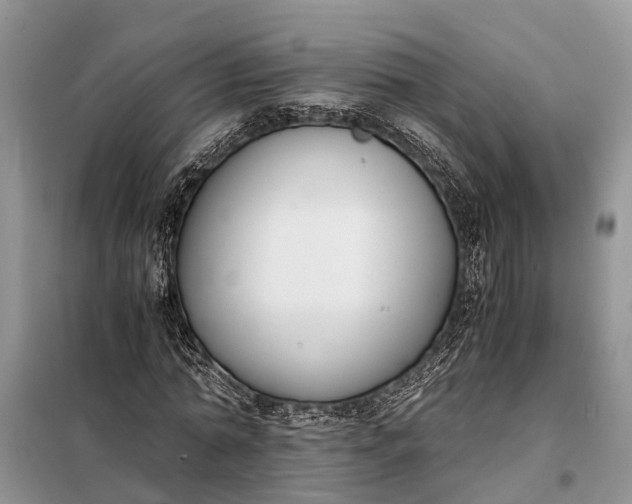 X0000097980774200804071124
