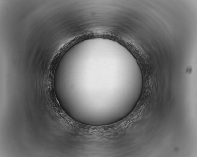X0000097980776200804071124