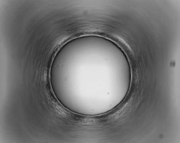 X0000097980777200804071124