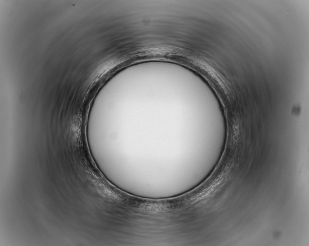 X0000097980778200804071124