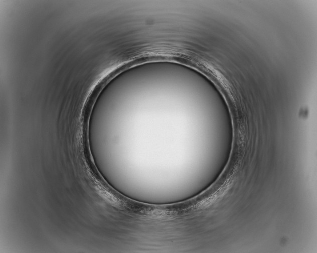 X0000097980779200804071124