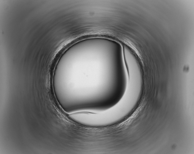 X0000097980781200804071123