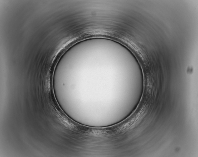 X0000097980782200804071123