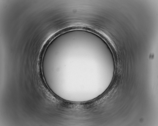 X0000097980783200804071123