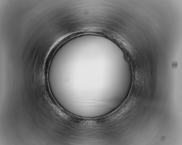 X0000097980784200804071123