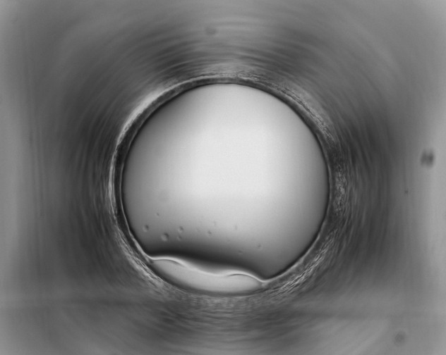 X0000097980788200804071123