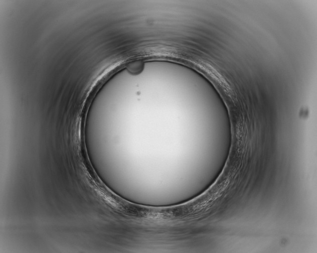X0000097980790200804071123