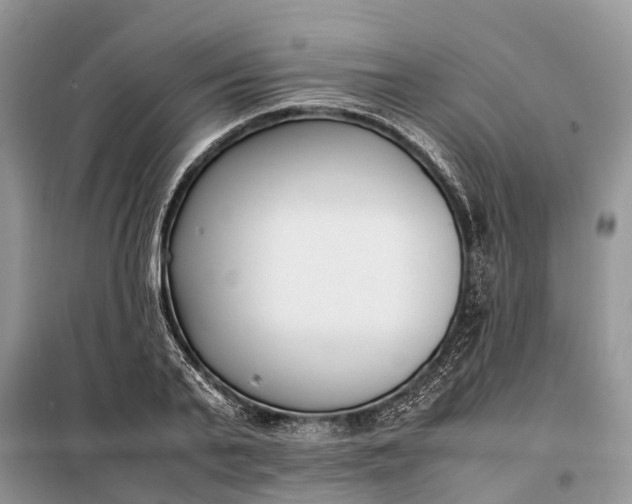 X0000097980791200804071123