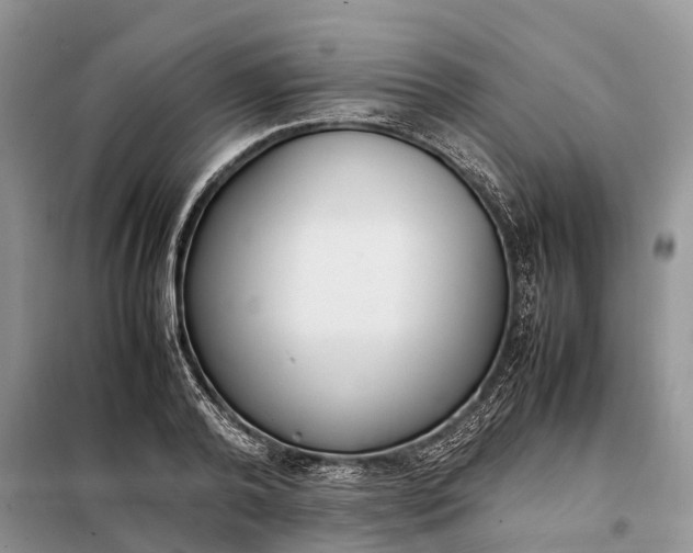 X0000097980792200804071123