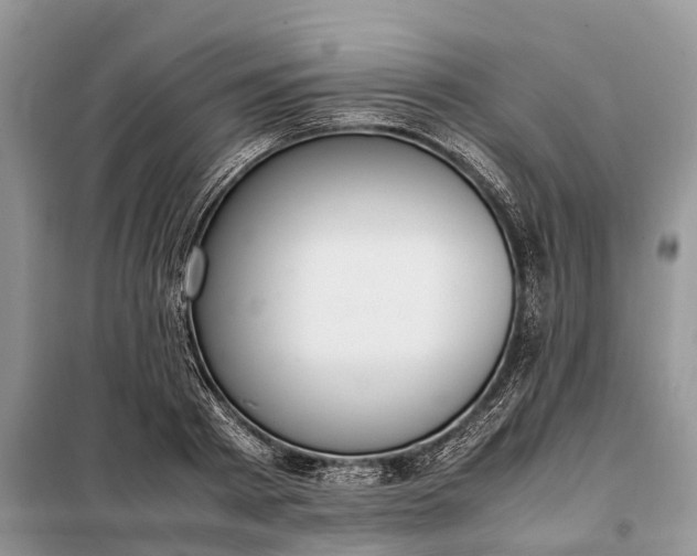 X0000097980793200804071123