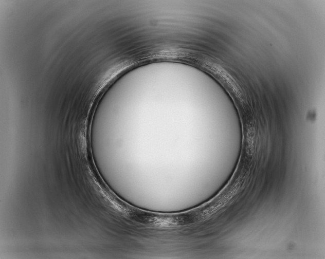 X0000097980794200804071123
