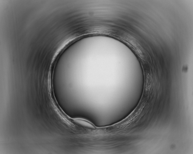 X0000097980796200804071123